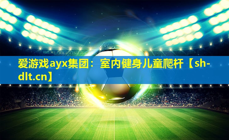 爱游戏ayx集团：室内健身儿童爬杆