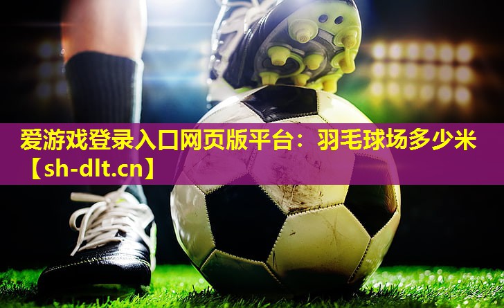 爱游戏登录入口网页版平台：羽毛球场多少米