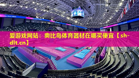 爱游戏网站：奥比岛体育器材在哪买便宜