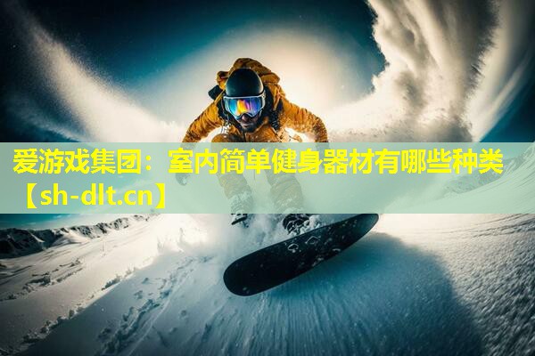 爱游戏集团：室内简单健身器材有哪些种类