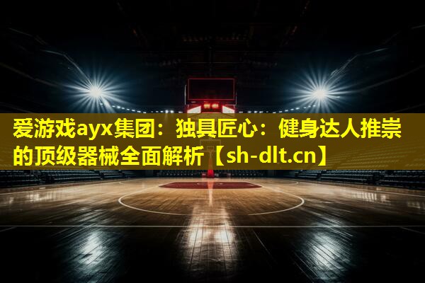 爱游戏ayx集团：独具匠心：健身达人推崇的顶级器械全面解析