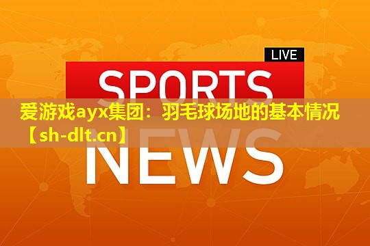 爱游戏ayx集团：羽毛球场地的基本情况