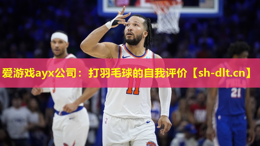 爱游戏ayx公司：打羽毛球的自我评价