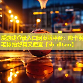 爱游戏登录入口网页版平台：哪个羽毛球拍好用又便宜