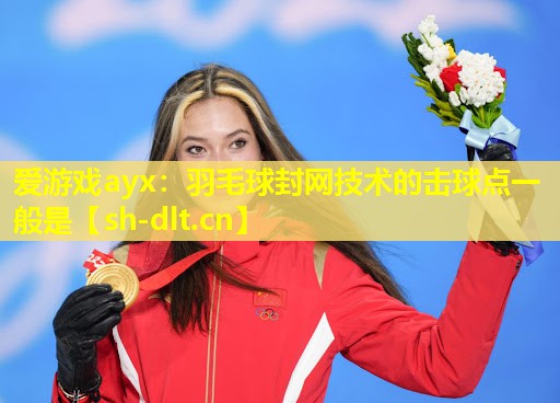 爱游戏ayx：羽毛球封网技术的击球点一般是