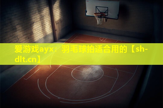 爱游戏ayx：羽毛球拍适合用的
