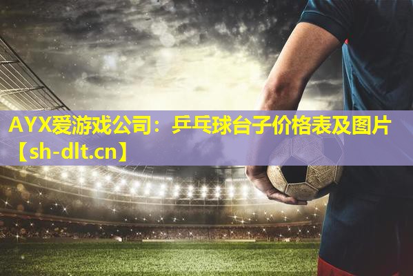 AYX爱游戏公司：乒乓球台子价格表及图片