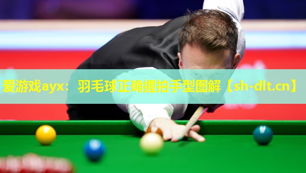 爱游戏ayx：羽毛球正确握拍手型图解