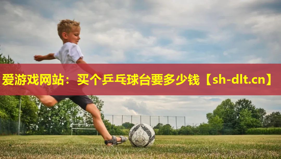 爱游戏网站：买个乒乓球台要多少钱