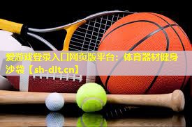爱游戏登录入口网页版平台：体育器材健身沙袋