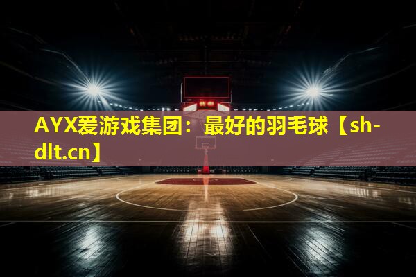 AYX爱游戏集团：最好的羽毛球