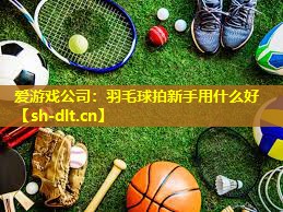 爱游戏公司：羽毛球拍新手用什么好
