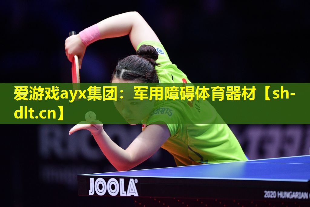 爱游戏ayx集团：军用障碍体育器材