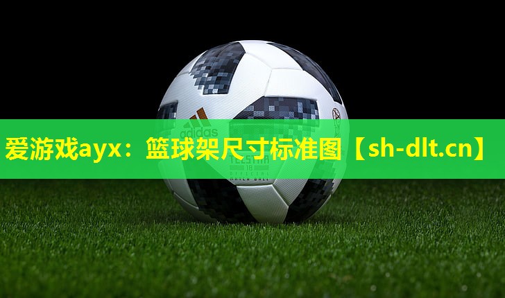 爱游戏ayx：篮球架尺寸标准图