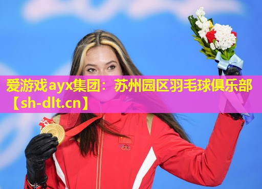 爱游戏ayx集团：苏州园区羽毛球俱乐部