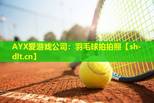 AYX爱游戏公司：羽毛球拍拍照