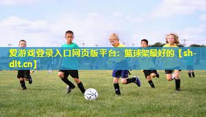 爱游戏登录入口网页版平台：篮球架最好的