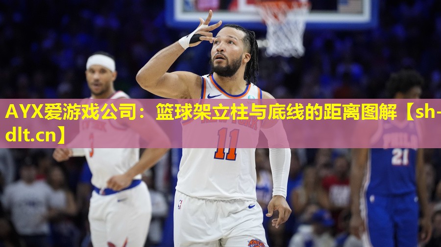 AYX爱游戏公司：篮球架立柱与底线的距离图解