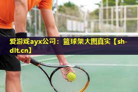 爱游戏ayx公司：篮球架大图真实