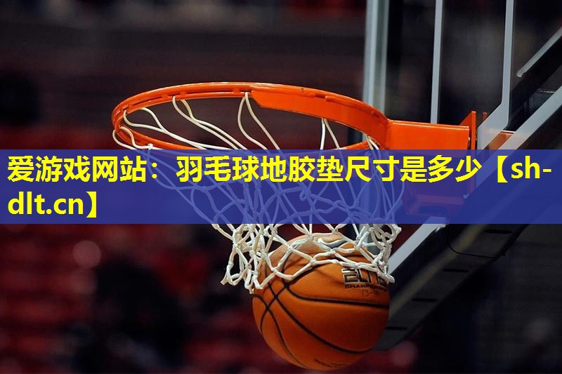 爱游戏网站：羽毛球地胶垫尺寸是多少