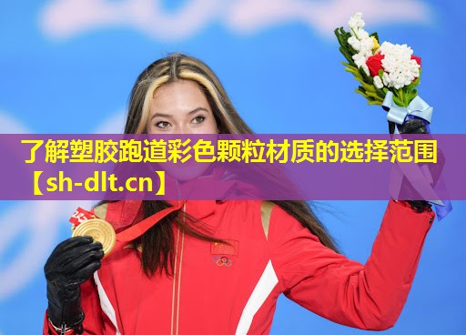 了解塑胶跑道彩色颗粒材质的选择范围