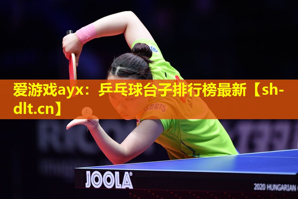 爱游戏ayx：乒乓球台子排行榜最新