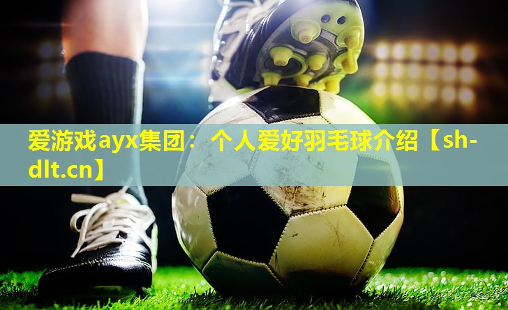 爱游戏ayx集团：个人爱好羽毛球介绍