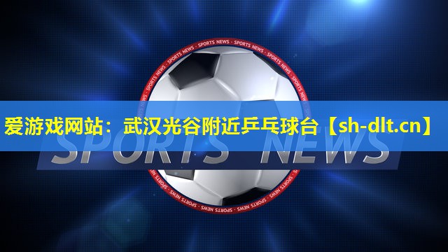 武汉光谷附近乒乓球台 武汉光谷附近乒乓球台