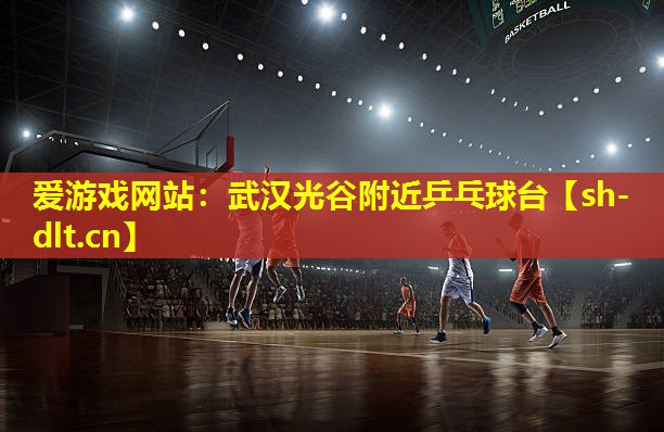 武汉光谷附近乒乓球台 武汉光谷附近乒乓球台
