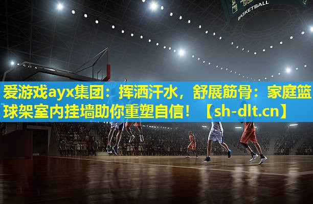 挥洒汗水,舒展筋骨:家庭篮球架室内挂墙助你重塑自信! 挥洒汗水,舒展筋骨:家庭篮球架室内挂墙助你重塑自信!
