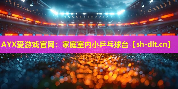 家庭室内小乒乓球台 家庭室内小乒乓球台