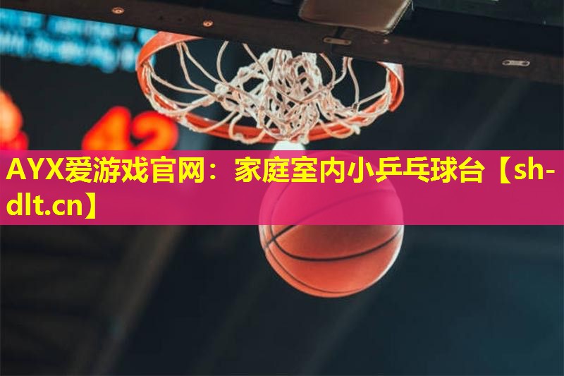 家庭室内小乒乓球台 家庭室内小乒乓球台