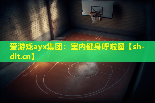 室内健身呼啦圈 室内健身呼啦圈