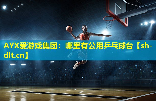 哪里有公用乒乓球台 哪里有公用乒乓球台