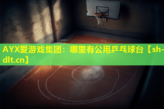哪里有公用乒乓球台 哪里有公用乒乓球台