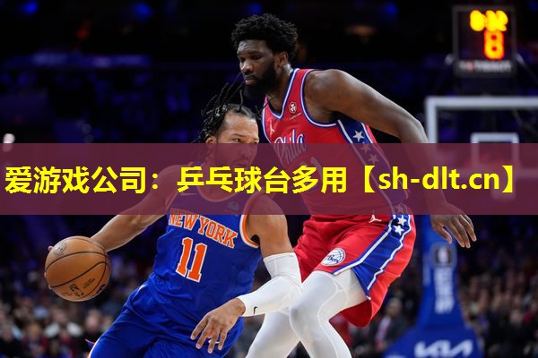 乒乓球台多用 乒乓球台多用