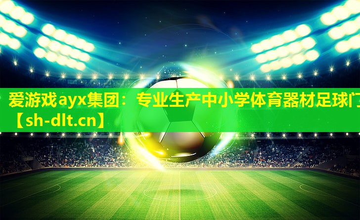 专业生产中小学体育器材足球门 专业生产中小学体育器材足球门