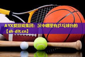 汉中哪里有乒乓球台的 汉中哪里有乒乓球台的