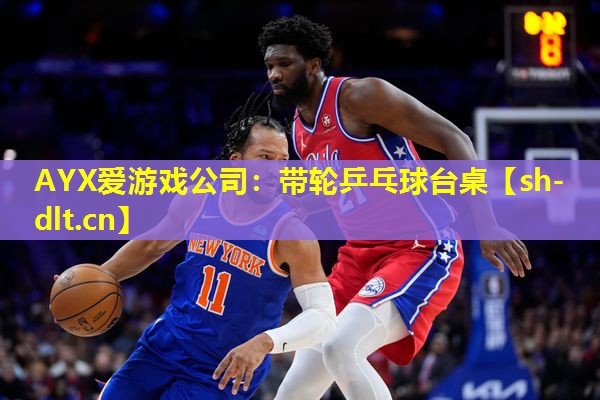 带轮乒乓球台桌 带轮乒乓球台桌