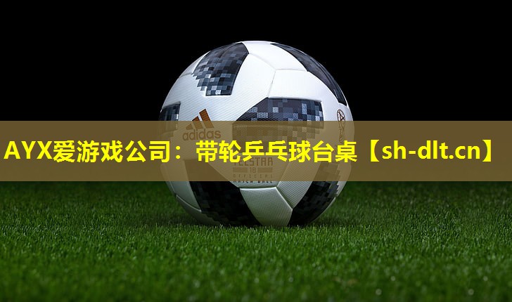 带轮乒乓球台桌 带轮乒乓球台桌