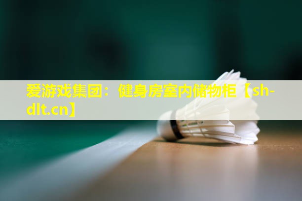 健身房室内储物柜 健身房室内储物柜