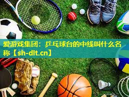 乒乓球台的中线叫什么名称 乒乓球台的中线叫什么名称