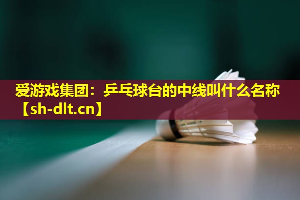 乒乓球台的中线叫什么名称 乒乓球台的中线叫什么名称