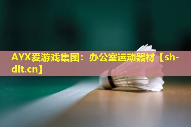 办公室运动器材 办公室运动器材