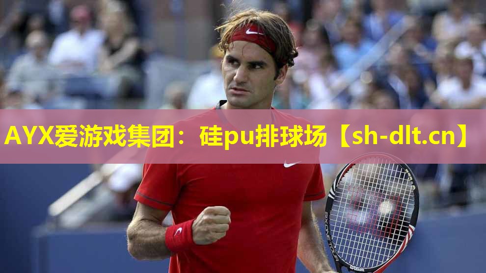 硅pu排球场 硅pu排球场