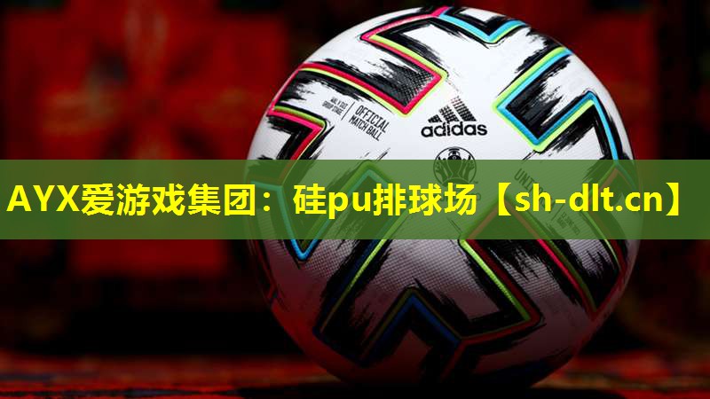 硅pu排球场 硅pu排球场