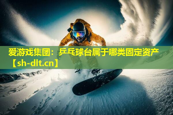 乒乓球台属于哪类固定资产 乒乓球台属于哪类固定资产