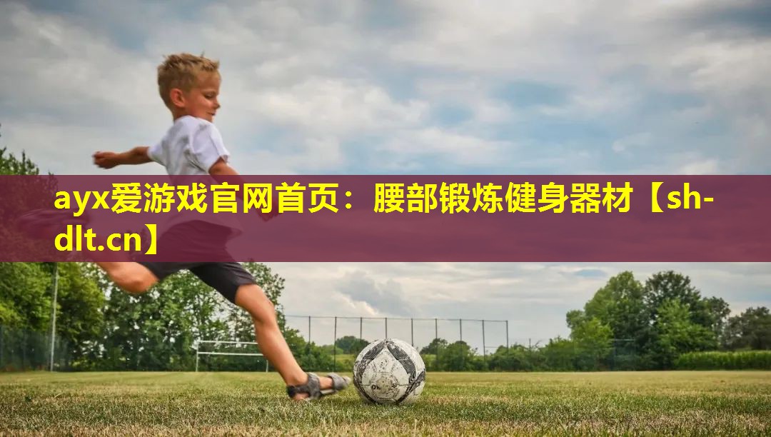 腰部锻炼健身器材 腰部锻炼健身器材