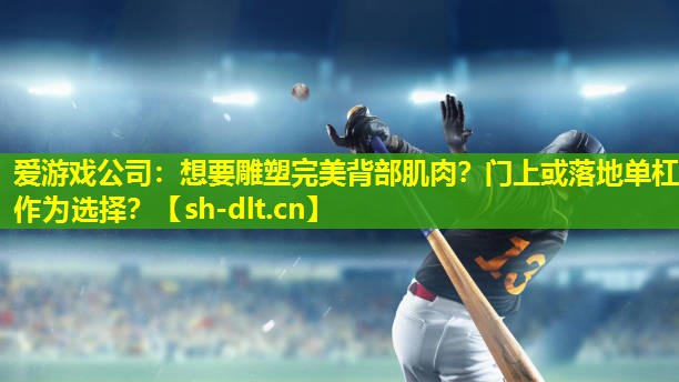 想要雕塑完美背部肌肉?门上或落地单杠作为选择? 想要雕塑完美背部肌肉?门上或落地单杠作为选择?