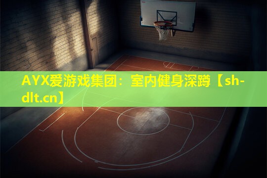 室内健身深蹲 室内健身深蹲